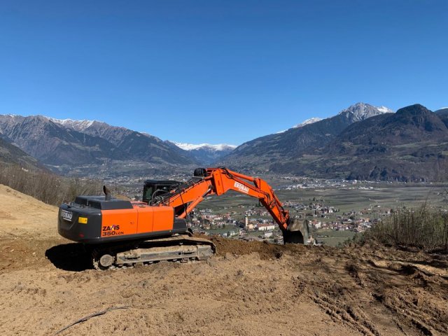 wiesenplane_voellan_2019-03-26_01_albrecht_auer.jpg