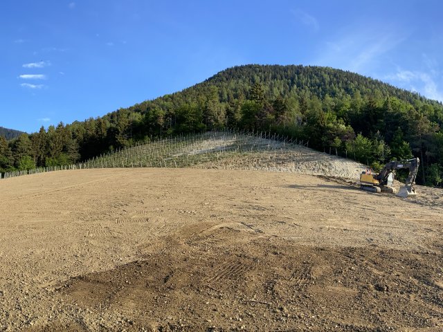 wiesenplanierung_2020-07-08_02_albrecht_auer.jpg